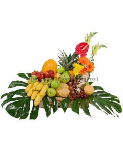 Frutal & Floral con Tequila