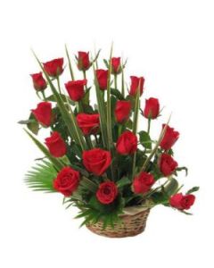 Cuna de Amor (20 rosas)