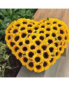 Corazon de Girasoles