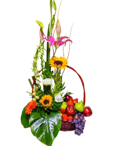 Frutal y Girasoles
